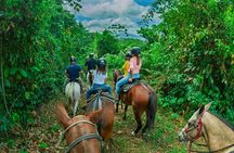 Pacos Horseback Ride Through Arenal’s Forest and Cross Rivers