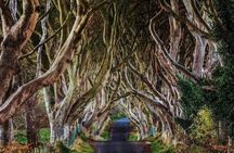 Giants Causeway Private Tour
