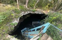 From Mérida: Explore 4 Rural Cenotes & Enjoy a Traditional Lunch