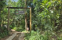 Quilombo Visit with Horse Backriding in Beach and Waterfall Tour