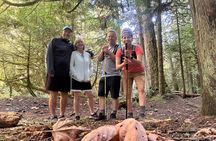 Twigs, Trails, Ales and Tall Tales 