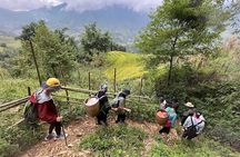 Hidden Villages Trekking to Hau Thao, Hang Da, and Sa Seng