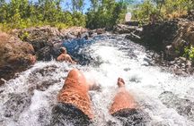 1 Day Litchfield Waterfalls Tour