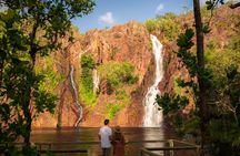 1 Day Litchfield Waterfalls Tour