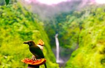 Premium Adventure from San Jose Arenal Volcano Waterfall and Thermal