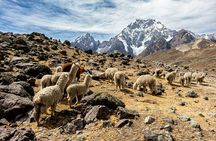 Ausangate 7 Lagoons Hike with Hot Springs Experience