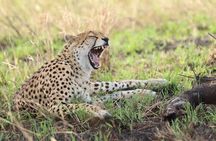 3 Days Maasai mara Private safari