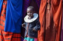 Maasai Village, Materuni Waterfall & Coffee Experience with lunch