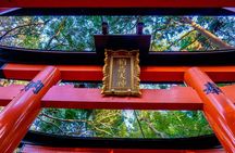 Osaka/Kyoto: Arashiyama, Fushimi Inari & Nara Park Day Trip