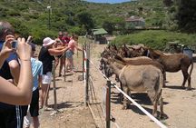 From Izmir: Island and Bays Boat Tour with Lunch