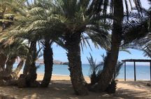 Private VIP Excursion to Vai Beach and Monastery Toplu