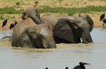 2 Days Tsavo East Safari from Mombasa