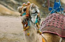 1 Day History and Nature Cappadocia Red Tour