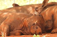 2 Days Tsavo East Safari from Mombasa