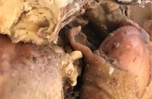African Food Tasting Tour