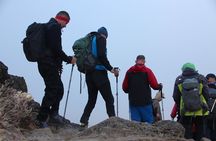 7 Days Kilimanjaro Hiking and Climbing Machame Route - Join Group