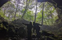 Mt. Fuji Private Tour w/ local English speaking guide & activity