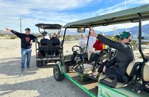  Palm Springs Windmill Guided Tour by Golf Cart