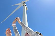  Palm Springs Windmill Guided Tour by Golf Cart