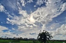 Chennai, Birding with Sound Approach, Spotting Scope, 2-3 hours 