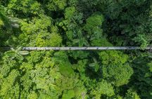 Combo Mistico Hanging Bridges and La Fortuna Waterfall