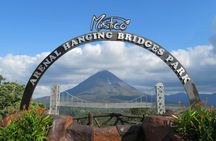 Combo Mistico Hanging Bridges and La Fortuna Waterfall