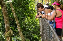 Combo Mistico Hanging Bridges and La Fortuna Waterfall