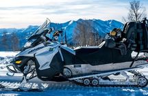 Golden Circle Private Tour with Snowmobile Ride