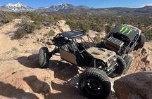 Moab 2.5 Hour Mad Max Buggy Tour