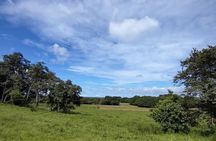 Mountain bike & River ride at Cañas Dulces - Liberia