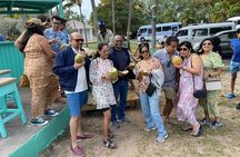 Atv Guided Tours Nassau Bahamas