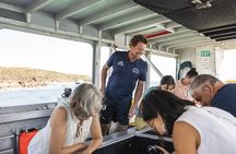 Great Keppel Island Snorkel and Glass Bottom Boat Experience