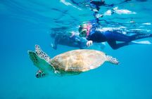 Great Keppel Island Snorkel and Glass Bottom Boat Experience