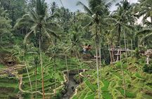 Ubud Central Bali Private Group Tour