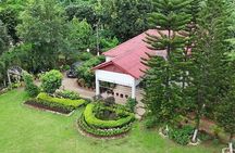 Guwahati Tea Garden Tour with Lunch & Hi Tea (Premium Experience)