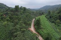 Guwahati Tea Garden Tour with Lunch & Hi Tea (Premium Experience)