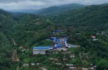 Guwahati Tea Garden Tour with Lunch & Hi Tea (Premium Experience)