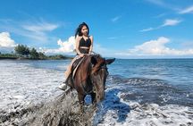 Bali Horse Riding and Turtle Release at Saba Beach