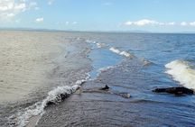 From Managua: Ometepe Island Full Day Trip on The 11th Wonder