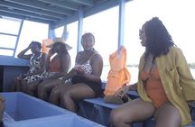 Diani Beach: Glass-bottom Boat Ride with Underwater Show