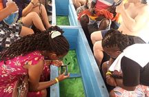 Diani Beach: Glass-bottom Boat Ride with Underwater Show