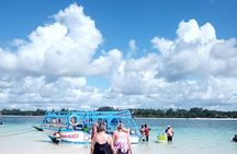 Diani Beach: Glass-bottom Boat Ride with Underwater Show