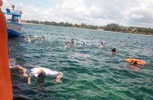 Diani Beach: Glass-bottom Boat Ride with Underwater Show