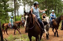 Scenic Horseback Riding Adventure Through the Atlas Mountain 