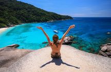 Similan Islands Turtles Tour By Speed Boat Pick up from Phuket
