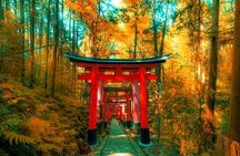 Kyoto Customizable Private Walking Tour with Guide 