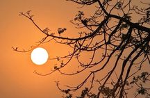 Chitwan Jungle Safari-All inclusive 3 Days Chitwan Tour