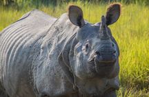 Chitwan Jungle Safari-All inclusive 3 Days Chitwan Tour