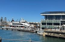 Robben Island Half Day Tour with Pre-Booked Ticket from Cape Town