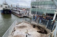 Robben Island Half Day Tour with Pre-Booked Ticket from Cape Town
